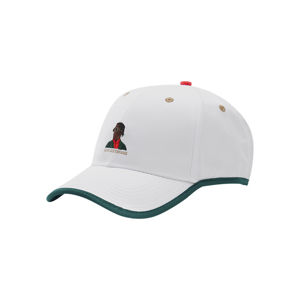 Cayler & Sons C&S WL Dream$ Curved Cap white