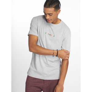 Just Rhyse / T-Shirt Niceville in grey