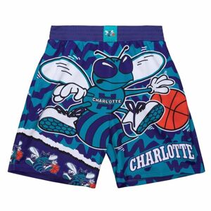 Mitchell & Ness shorts Charlotte Hornets Jumbotron 2.0 Submimated Mesh Shorts purple