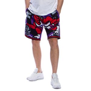 Mitchell & Ness shorts Toronto Raptors purple Big Face Short