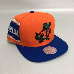 Mitchell & Ness snapback Florida Gators NCAA Jumbotron Snapback orange/red